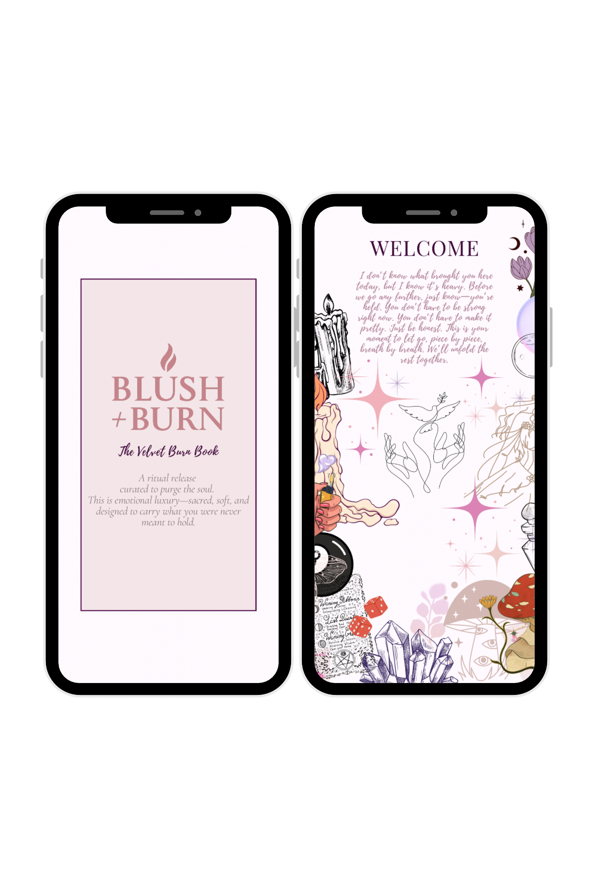 Blush + Burn: The Velvet Burn Book