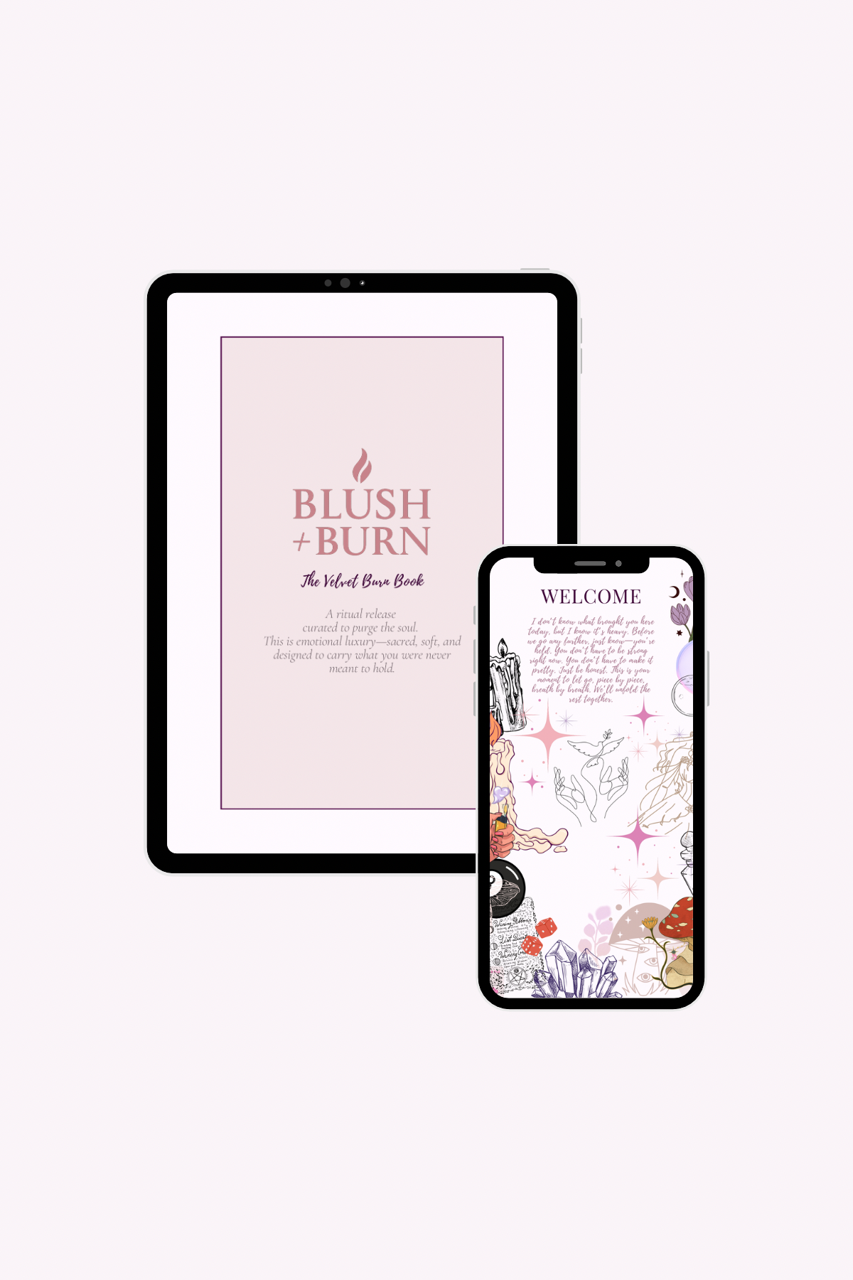 Blush + Burn: The Velvet Burn Book
